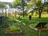 Charming community garden with lush vegetable beds and blooming flowers under a canopy of mature trees, featuring people enjoying the natural setting on a sunny day.