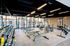 Gym Equipment
