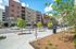 College Town, exterior, street, sidewalk, red brick and white buildings, cars, trees