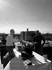 Rooftop
