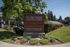 Welcoming entrance sign for Plum Tree Apartment Homes surrounded by lush greenery, offering a serene and inviting community atmosphere.
