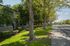 Charming residential view with lush greenery and peaceful sidewalk, perfect for tranquil living.