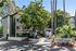 Charming Regency Plaza apartment building surrounded by lush greenery and tall trees, offering a serene and inviting atmosphere.