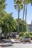 Inviting entrance to Regency Plaza with lush greenery and towering palm trees under a clear blue sky.