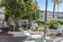 Inviting entrance of Regency Plaza with lush landscaping, palm trees, and modern apartment balconies.