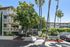 Charming apartment complex with lush greenery and modern balconies at Regency Plaza, accented by tall palm trees and vibrant landscaping.