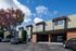 Charming apartment complex with tall windows, beautiful trees, and ample parking under a clear blue sky.