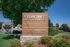 Inviting entrance to Plum Tree Apartment Homes with well-maintained gardens and modern architecture, located at 1097 Maywood Lane.
