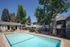 Charming apartment community with a refreshing swimming pool, surrounded by lush trees and modern architecture.