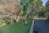 Charming outdoor pet area with lush greenery, a quaint bench, and vibrant natural surroundings, perfect for relaxation and play.