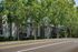Sandpiper Village - Tree-Lined Street View