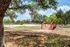 Madera Basketball Courts