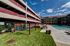 Riverfront Village Pool Lounge Hammocks