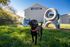 Charming student housing with pet-friendly amenities, featuring a playful dog in a lush green yard.