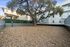 Charming outdoor space with a majestic, sprawling tree, surrounded by modern residential buildings and a well-maintained, fenced yard.