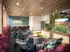 Chic outdoor lounge area with cozy fire pit, ambient seating, vibrant plants, and a large TV for entertainment.