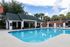 Inviting outdoor pool area with elegant pavilion, surrounded by lush palm trees and comfortable lounge chairs, ideal for relaxation and entertainment.