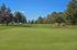 Scenic Views of Golf Course