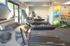 Cardio Equipment