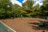 Dog Park
