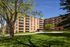 Charming brick apartment building with private balconies, nestled among mature trees and lush green lawns, perfect for relaxed living.
