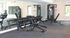 Modern fitness center with sleek equipment, wall mirrors, and ample natural light.