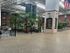 Inviting atrium with abundant natural light and lush greenery, perfect for relaxation and community gatherings.