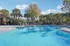 Inviting outdoor pool area surrounded by lush palm trees and comfortable lounge chairs, set against a bright blue sky.