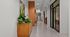 Modern apartment hallway with sleek terrazzo flooring, wooden accents, and lush green plants boosting a serene atmosphere.