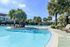 An outdoor swimming pool area with lounge seating under umbrellas, bordered by lush palm trees and green bushes under a clear sky.