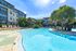 A large, clear blue apartment community swimming pool surrounded by lounge chairs and green landscaping