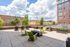Outdoor Lounge with Firepits
