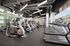 Modern fitness center with state-of-the-art treadmills and elliptical machines, featuring stylish lighting and expansive windows.