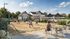 Vibrant community scene with people enjoying a game of beach volleyball beside a modern clubhouse and blooming gardens.