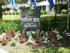 Charming entrance sign for Pleasant Ridge Luxury Apartments, surrounded by vibrant flowerbeds and lush greenery.