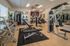 Modern fitness center at The Crest at Elm Tree surrounded by weights and cardio machines.