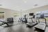 Bright and modern fitness center featuring treadmills, elliptical machines, and a complete set of free weights with large windows offering scenic views at Emerson Flats.