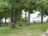 Grassy area at Perkins Place Apartments dog park.