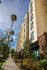 Modern apartment building with a scenic sidewalk, lush greenery, and towering palm trees, offering a vibrant urban lifestyle.