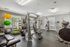Bright and spacious fitness center equipped with modern gym machines, free weights, and exercise balls.