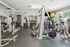 Modern fitness center with state-of-the-art gym equipment, vibrant exercise balls, and a sleek workout environment.