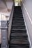 Charming stairway with elegant grey carpeting leading to a bright upper landing in a modern apartment.