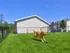 Charming fenced dog park with vibrant green grass, featuring a joyful Golden Retriever playing with a blue ball and a person enjoying the sunny day at Van Allen Apartments in North Greenbush, NY.