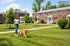 Charming suburban setting with red brick townhouses and manicured lawns, featuring a woman walking her dog peacefully at Adams Park Apartments in Albany, NY.