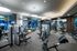 Indoor gym with large windows, carpet floors, treadmills, ellipticals, weight machines, kettlebells, and two mirror walls.