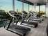 Bank of four treadmills in front of a large window wall with a city skyline view.