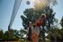 Dive into action at our sand volleyball court featuring a regulation-size playing area. | International Village Lombard | International Village Lombard Apartments