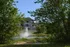 Pond view