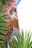 Meticulous Landscaped