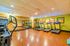 Bright and modern gym with treadmills, dumbbells, and exercise equipment.